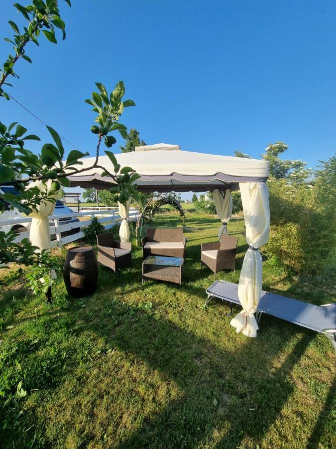 Bed and Breakfast Antico Pioppo à Sale Extérieur photo
